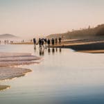 Noosa to Sunshine Coast Airport - Brisbane Airport Transfers Noosa to Sunshine Coast Airport - Brisbane Airport Transfers