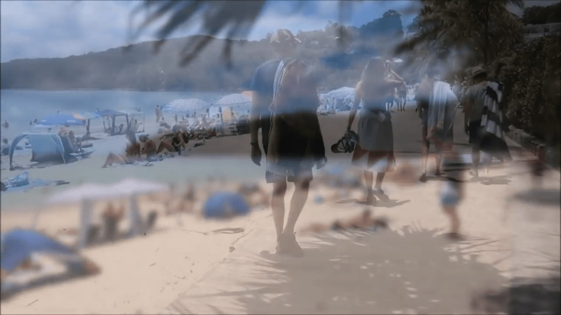 The Ultimate Guide to Exploring the Sunshine Coast with Sunshine Coast Private Transfers